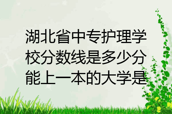 湖北省中专护理学校分数线是多少分能上一本的大学是