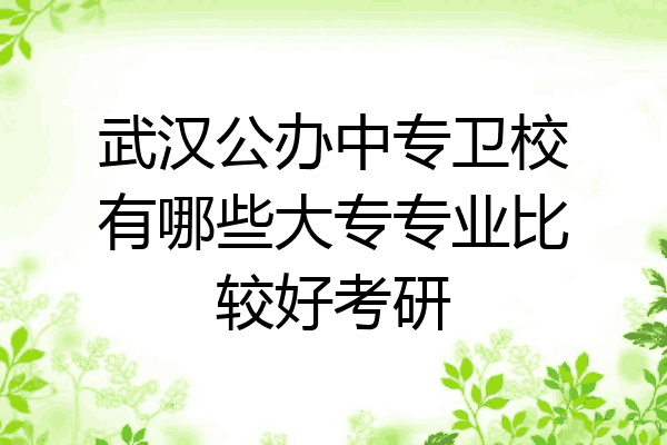 武汉公办中专卫校有哪些大专专业比较好考研