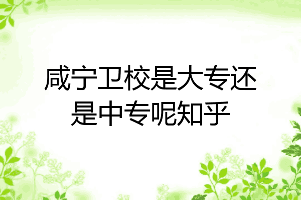 咸宁卫校是大专还是中专呢知乎