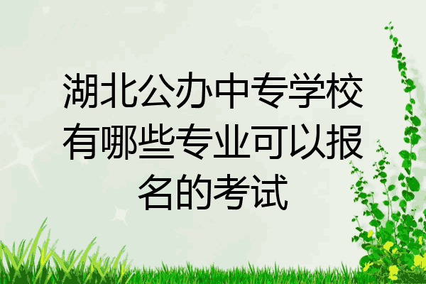 湖北公办中专学校有哪些专业可以报名的考试