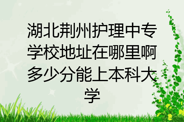 湖北荆州护理中专学校地址在哪里啊多少分能上本科大学