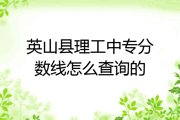 英山县理工中专分数线怎么查询的