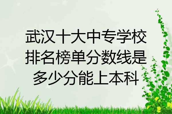 武汉十大中专学校排名榜单分数线是多少分能上本科