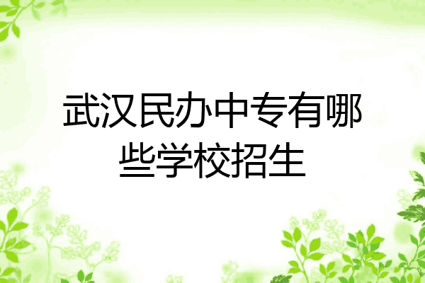 武汉民办中专有哪些学校招生