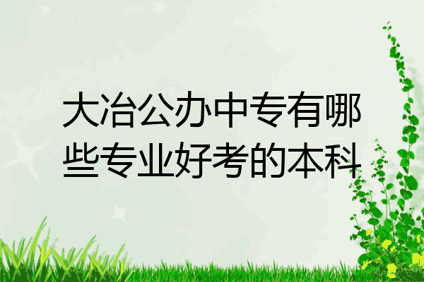 大冶公办中专有哪些专业好考的本科