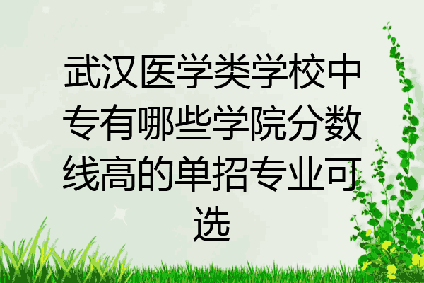 武汉医学类学校中专有哪些学院分数线高的单招专业可选