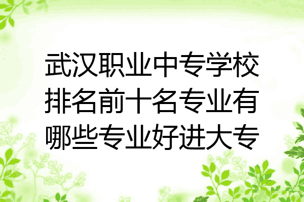 武汉职业中专学校排名前十名专业有哪些专业好进大专
