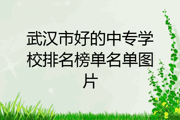 武汉市好的中专学校排名榜单名单图片