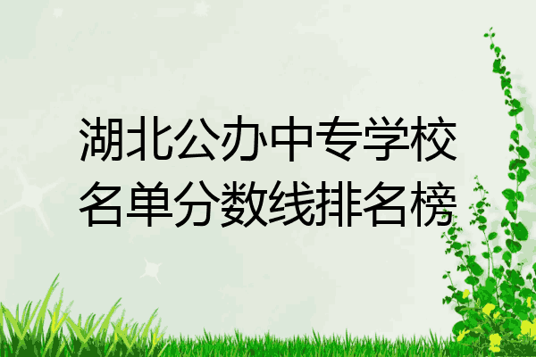 湖北公办中专学校名单分数线排名榜