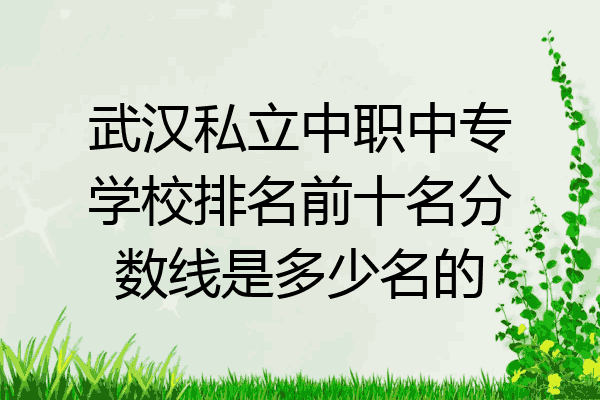 武汉私立中职中专学校排名前十名分数线是多少名的