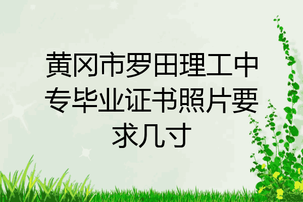 黄冈市罗田理工中专毕业证书照片要求几寸