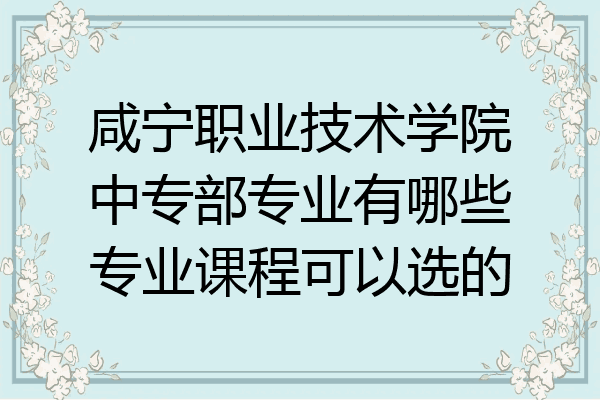 咸宁职业技术学院中专部专业有哪些专业课程可以选的
