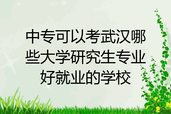 中专可以考武汉哪些大学研究生专业好就业的学校