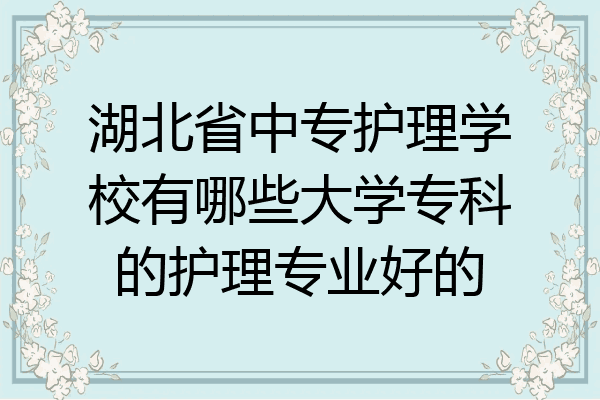 湖北省中专护理学校有哪些大学专科的护理专业好的