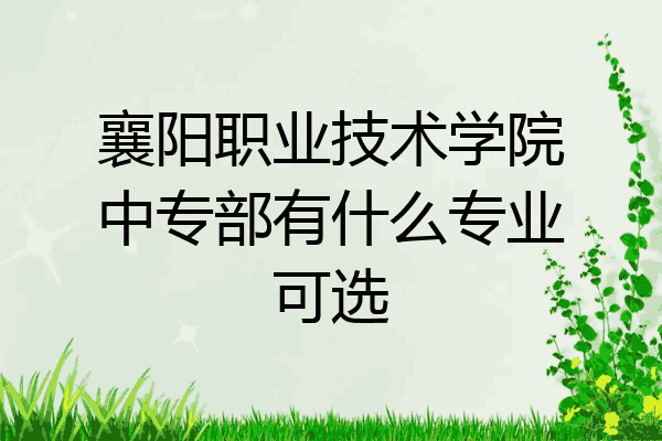 襄阳职业技术学院中专部有什么专业可选