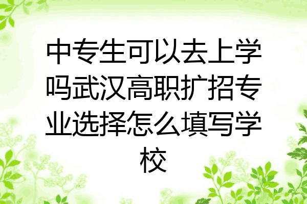 中专生可以去上学吗武汉高职扩招专业选择怎么填写学校