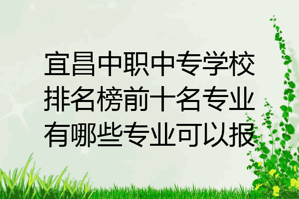 宜昌中职中专学校排名榜前十名专业有哪些专业可以报
