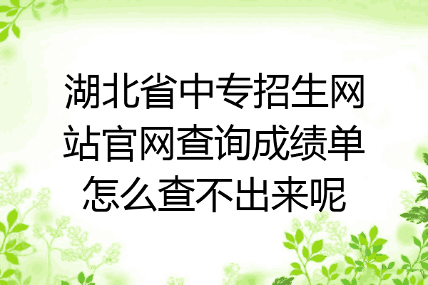 湖北省中专招生网站官网查询成绩单怎么查不出来呢