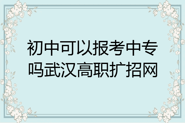 初中可以报考中专吗武汉高职扩招网