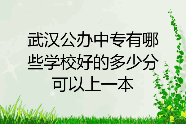 武汉公办中专有哪些学校好的多少分可以上一本