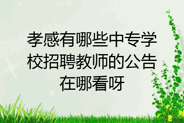 孝感有哪些中专学校招聘教师的公告在哪看呀