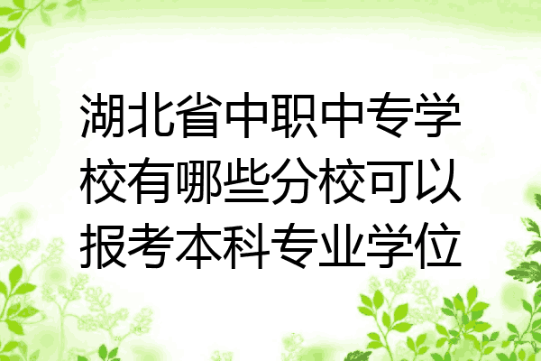 湖北省中职中专学校有哪些分校可以报考本科专业学位