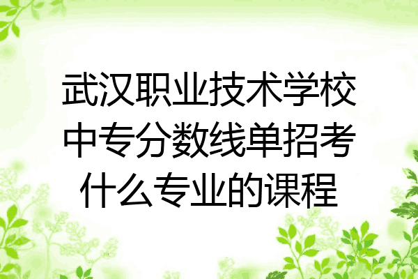 武汉职业技术学校中专分数线单招考什么专业的课程