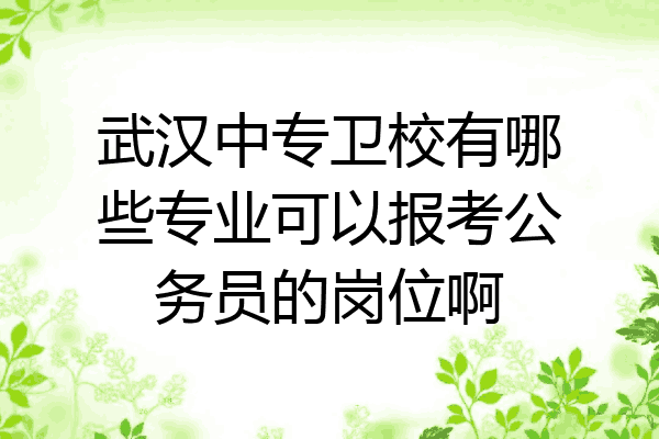 武汉中专卫校有哪些专业可以报考公务员的岗位啊