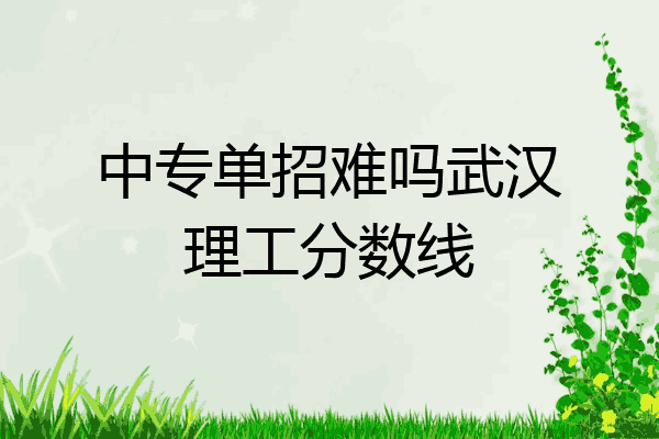 中专单招难吗武汉理工分数线
