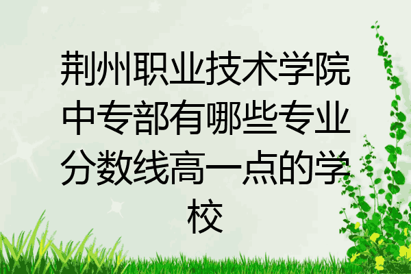 荆州职业技术学院中专部有哪些专业分数线高一点的学校