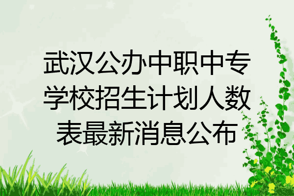 武汉公办中职中专学校招生计划人数表最新消息公布