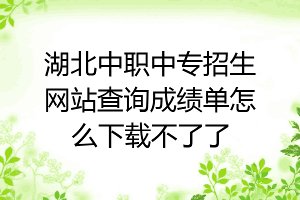 湖北中职中专招生网站查询成绩单怎么下载不了了