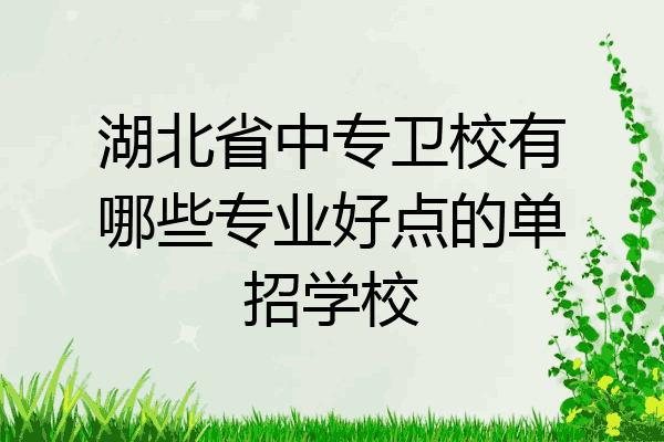 湖北省中专卫校有哪些专业好点的单招学校