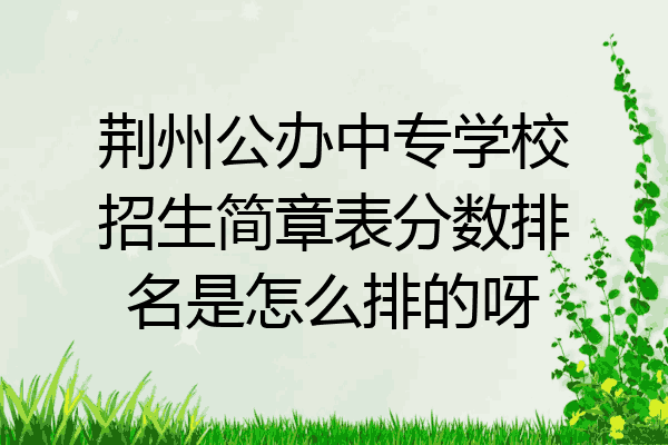 荆州公办中专学校招生简章表分数排名是怎么排的呀