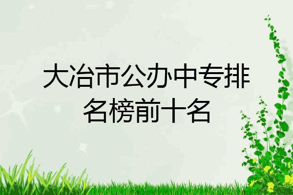 大冶市公办中专排名榜前十名