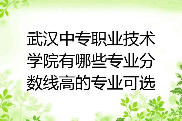 武汉中专职业技术学院有哪些专业分数线高的专业可选