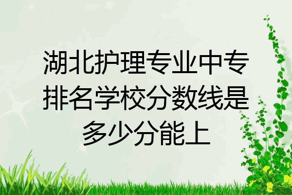 湖北护理专业中专排名学校分数线是多少分能上