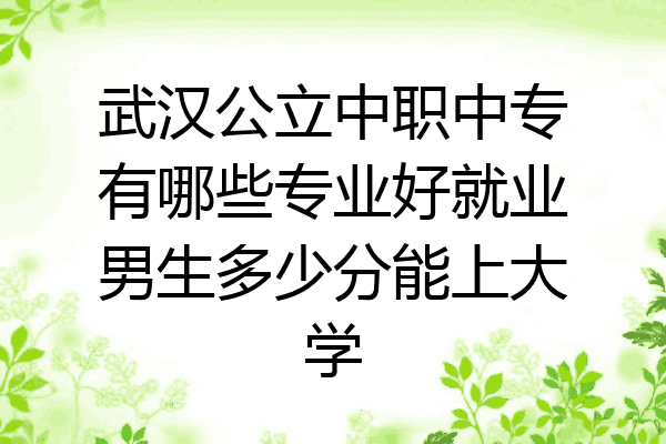 武汉公立中职中专有哪些专业好就业男生多少分能上大学
