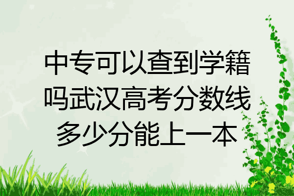 中专可以查到学籍吗武汉高考分数线多少分能上一本