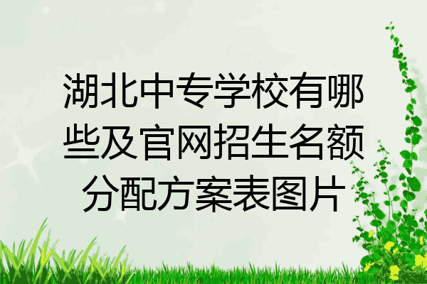 湖北中专学校有哪些及官网招生名额分配方案表图片