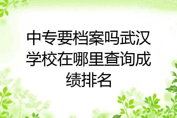 中专要档案吗武汉学校在哪里查询成绩排名