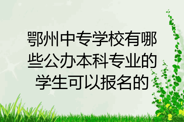鄂州中专学校有哪些公办本科专业的学生可以报名的