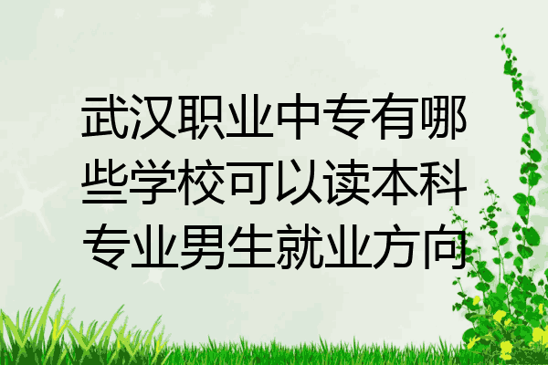 武汉职业中专有哪些学校可以读本科专业男生就业方向