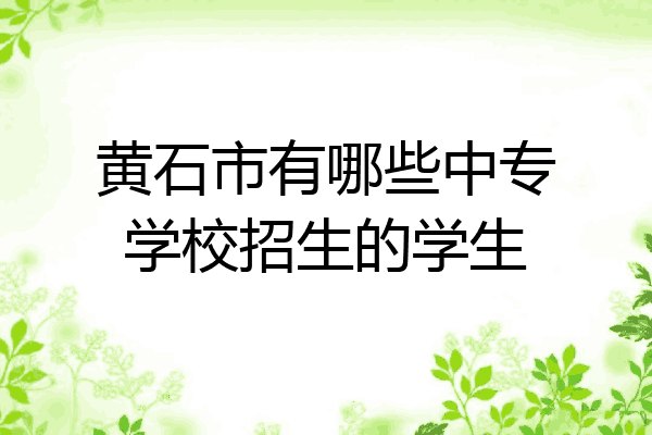 黄石市有哪些中专学校招生的学生