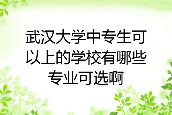 武汉大学中专生可以上的学校有哪些专业可选啊