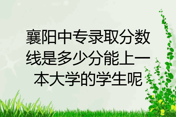 襄阳中专录取分数线是多少分能上一本大学的学生呢