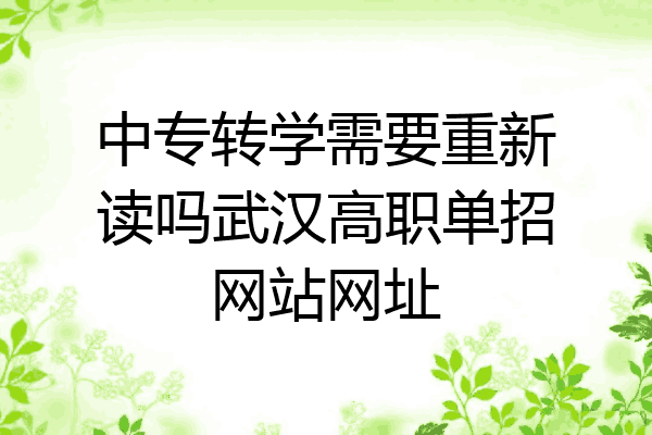 中专转学需要重新读吗武汉高职单招网站网址