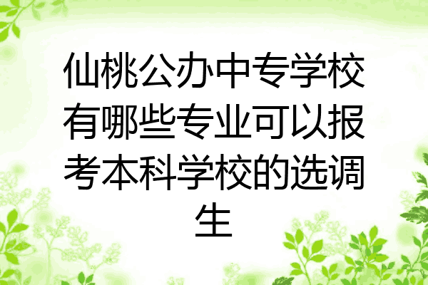 仙桃公办中专学校有哪些专业可以报考本科学校的选调生