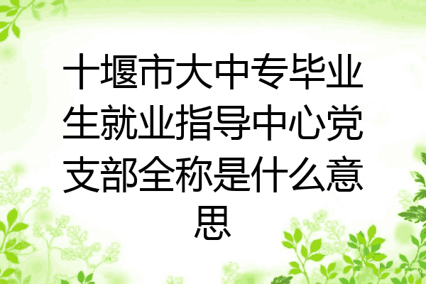 十堰市大中专毕业生就业指导中心党支部全称是什么意思