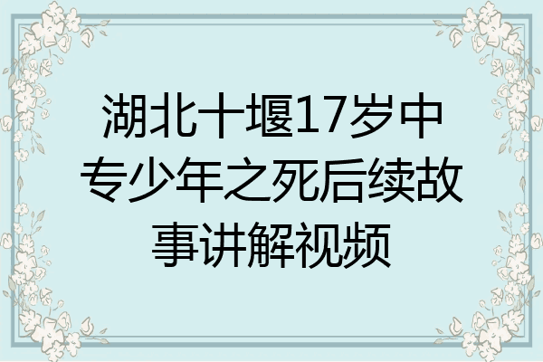 湖北十堰17岁中专少年之死后续故事讲解视频